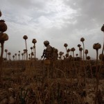 Baz Ratner—Reuters