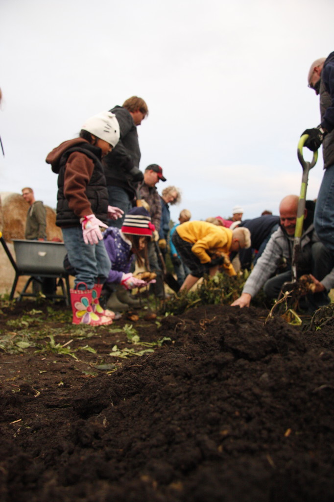 spruce grove community garden